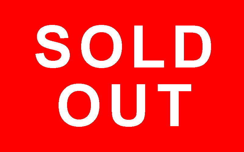 Bowery Brothers opening act for Bob Dylan sold out show